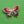 Load image into Gallery viewer, Cloisonné Enamel Butterfly Brooches