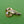 Load image into Gallery viewer, Pearl Twist Stripe Brooch