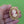 Load image into Gallery viewer, Framed Cameo Gold Brooch