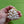 Load image into Gallery viewer, Pearl Waterfall Brooch