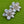 Load image into Gallery viewer, Silver Double Flower Brooch