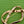 Load image into Gallery viewer, Puccini Knot Brooch