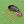 Load image into Gallery viewer, Cloisonné Paisley Hair Comb