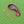 Load image into Gallery viewer, Cloisonné Paisley Hair Comb