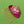 Load image into Gallery viewer, Cloisonné Lily Pad Hair Comb