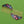 Load image into Gallery viewer, Cloisonné Rose and Butterfly Hair Comb