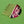 Load image into Gallery viewer, Cloisonné Cherry Blossom Hair Comb