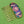 Load image into Gallery viewer, Cloisonné Two Butterflies and One Rose Hair Comb