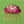 Load image into Gallery viewer, Cloisonné Lily Pad Hair Comb