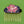 Load image into Gallery viewer, Cloisonné Lily Pad Hair Comb