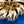 Load image into Gallery viewer, 1980s Monet Starburst Cordelia Spray Brooch