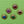 Load image into Gallery viewer, Red Jewel Regency
