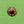 Load image into Gallery viewer, Red Jewel Regency