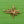 Load image into Gallery viewer, Lost Wax Abstract I Brooch