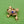 Load image into Gallery viewer, Sparkly Frog Triple Spots Brooch