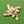 Load image into Gallery viewer, Modernist Gold Abstract Brooch