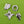 Load image into Gallery viewer, Modernist Silver Leaf Brooch