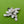 Load image into Gallery viewer, Modernist Silver Abstract Brooch