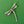 Load image into Gallery viewer, Large Dragonfly Brooch