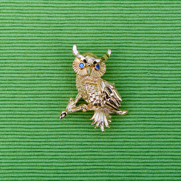 Blue Eyed Owl Brooch