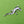 Load image into Gallery viewer, Silver Lizard Brooch