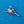 Load image into Gallery viewer, Silver Sea Frond Brooch