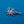 Load image into Gallery viewer, Silver Sea Frond Brooch