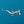 Load image into Gallery viewer, Giant Sparkly Lizard Brooch