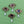 Load image into Gallery viewer, Faux Tiger's Eye Antiqued Pearl Drop