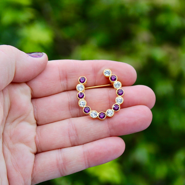 Purple Horseshoe Brooch