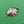 Load image into Gallery viewer, Fig Leaf Brooch