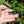 Load image into Gallery viewer, 80s Deco Green and Blue Duo Brooch