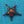Load image into Gallery viewer, Brown Enamel Star Brooch
