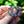 Load image into Gallery viewer, Dark Blue Double Wreath Brooch