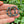Load image into Gallery viewer, Dark Blue Single Oval Wreath Brooch
