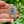 Load image into Gallery viewer, Silver Blue and Rhinestone Regency Drop