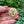 Load image into Gallery viewer, Cream Nautical Button Brooch