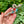 Load image into Gallery viewer, Giant Red and Turquoise Snake Brooch
