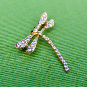WHOLESALE - Insect Collection