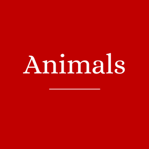 Summer Sale Animals