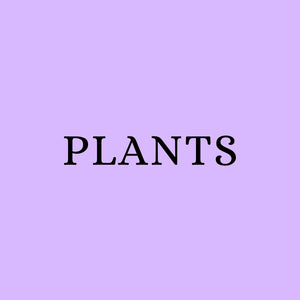 BOTANICAL BROOCHES ON SALE