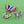 Load image into Gallery viewer, Cloisonné Enamel Butterfly Rainbow Brooch
