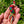 Load image into Gallery viewer, Colourful Cockatoo Brooch
