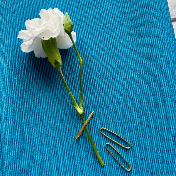 Edwardian Brass Pin