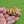 Load image into Gallery viewer, Orena Paris Leaf Brooch in Gold
