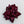 Load image into Gallery viewer, KTCD Rubber Corsage Red Large

