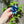Load image into Gallery viewer, KTCD Rubber Corsage Van Gogh Small
