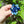 Load image into Gallery viewer, KTCD Rubber Corsage Van Gogh Small

