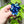 Load image into Gallery viewer, KTCD Rubber Corsage Van Gogh Medium
