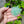Load image into Gallery viewer, KTCD CD Sea Glass Shattered I
